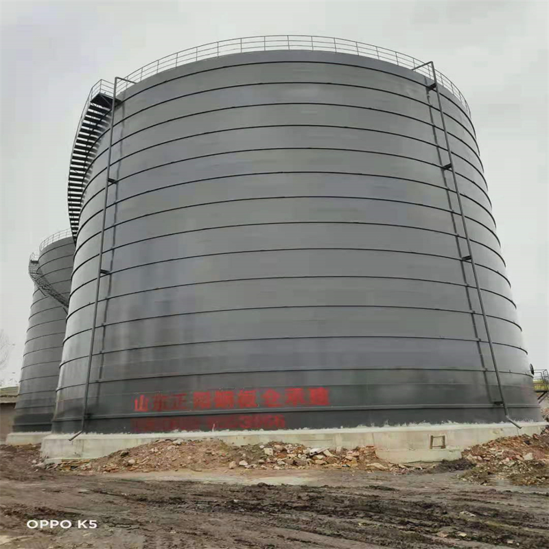 净潭乡3万吨大型钢板库