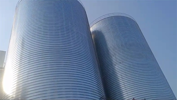 净潭乡2座混凝土高架卷板仓